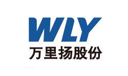 国内企业