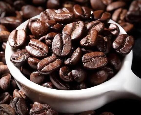 Three common types of coffee trees