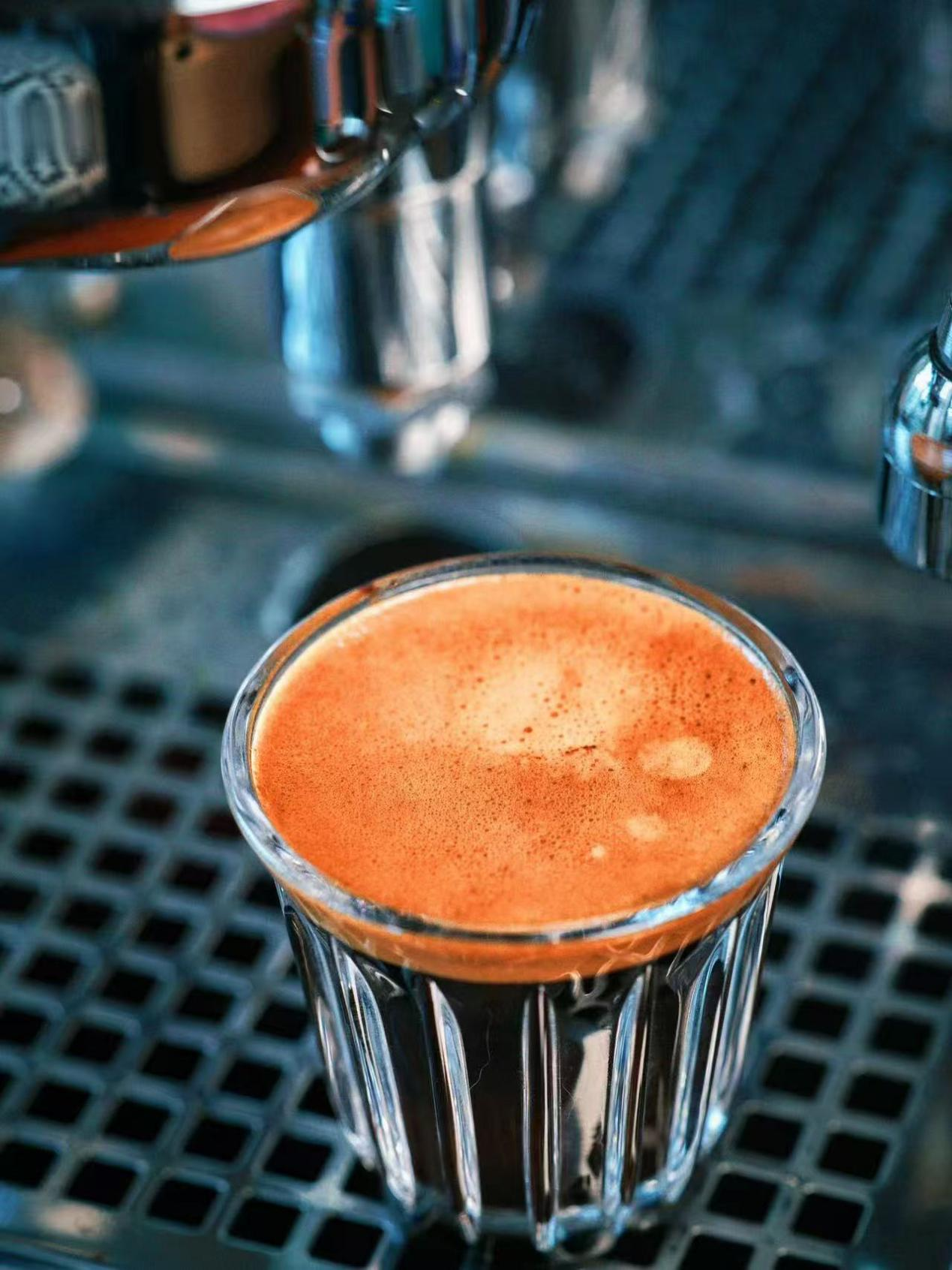 Roasted Coffee Beans
