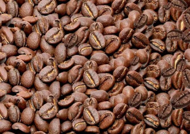 Main coffee producing areas