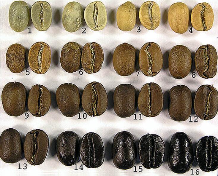 Coffee Beans - Four Famous Beans