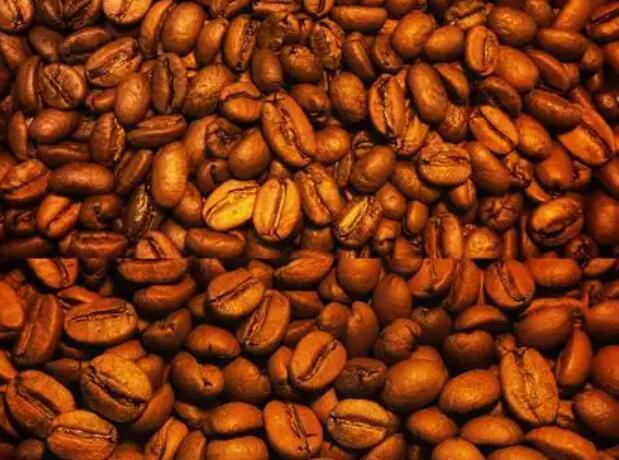 Method of coffee bean production