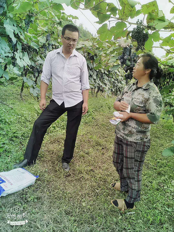 葡萄基地