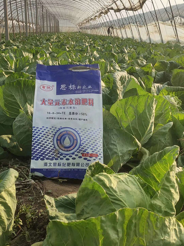 肅寧基地