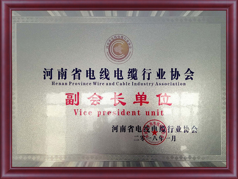 河南省电线电缆行业协会副会长单位
