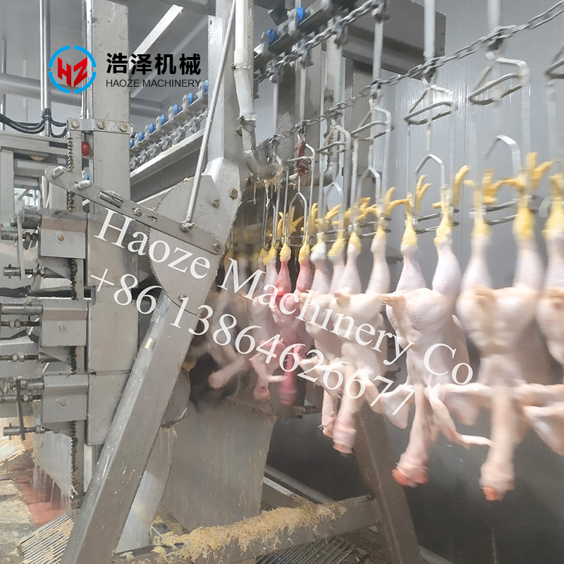 2000 BPH Poultry Slaughtering Line General Layout