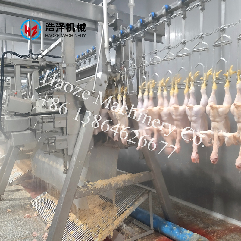 3000 BPH Chicken Slaughter Line General Layout
