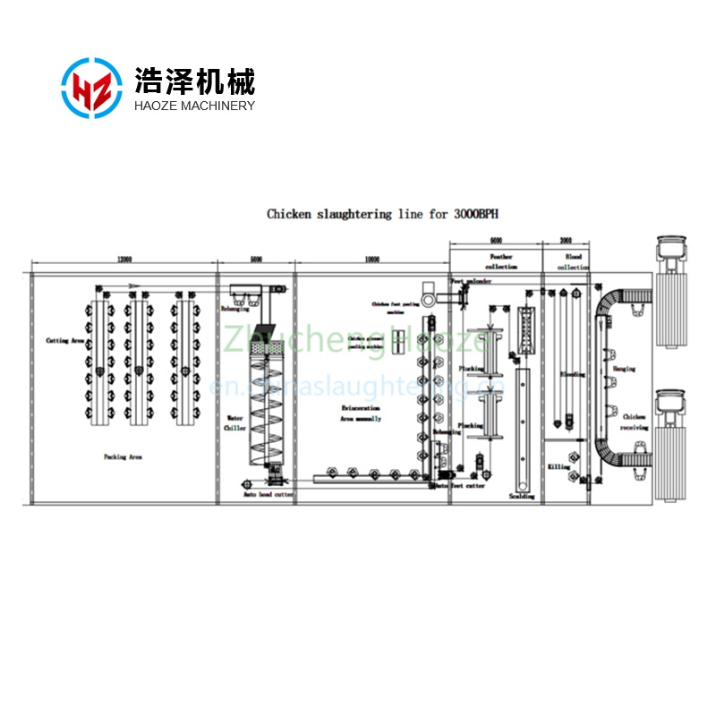 3000 BPH Chicken Slaughter Line General Layout