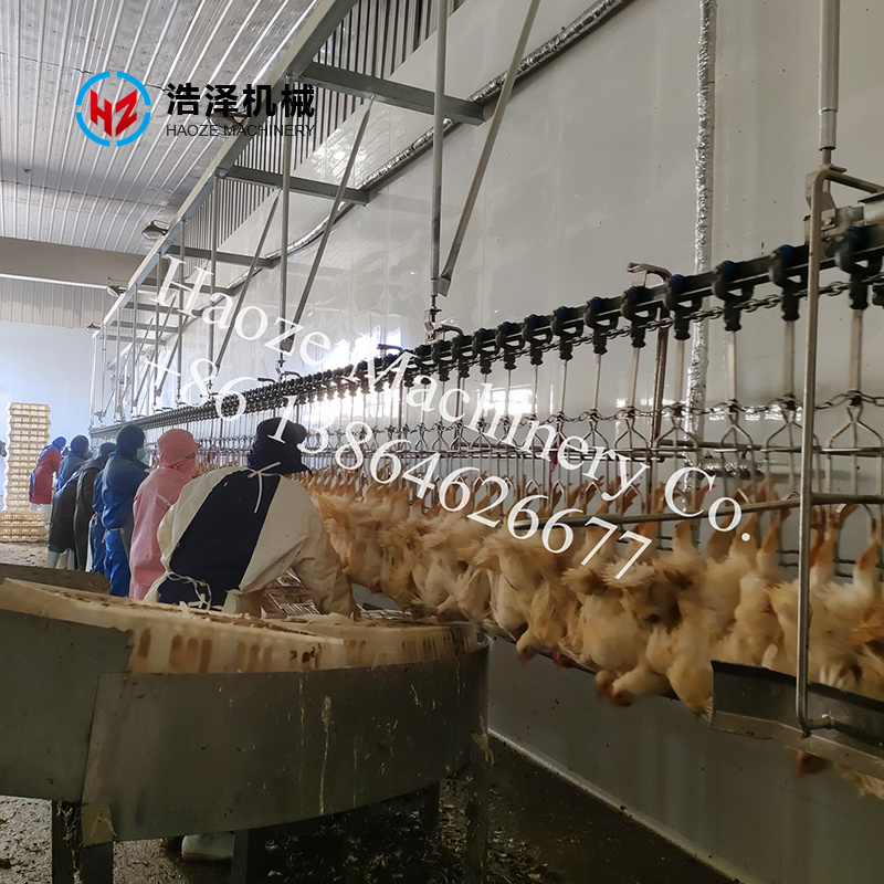 2000 BPH Poultry Slaughtering Line General Layout