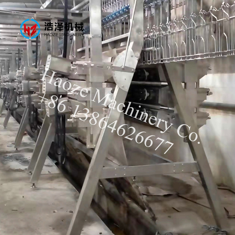 3000 BPH Chicken Slaughter Line General Layout