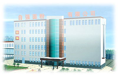 自強(qiáng)面粉