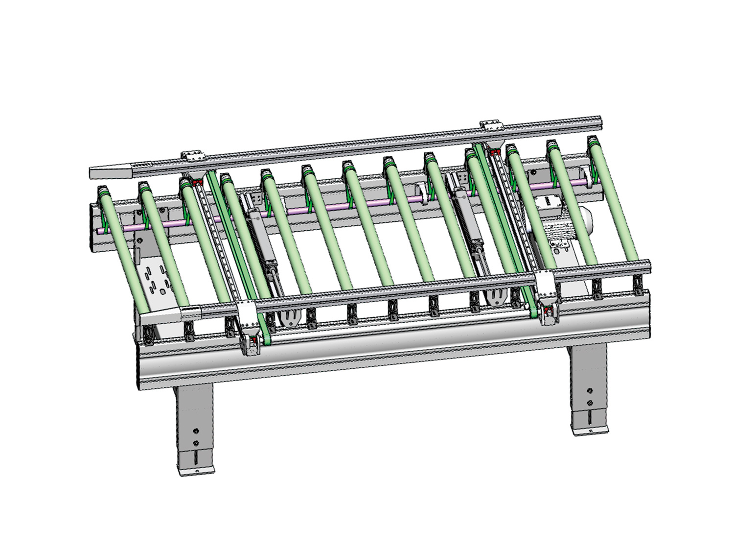 DZ-L2500-W1300 Centering conveyor