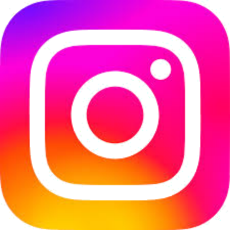 Ins