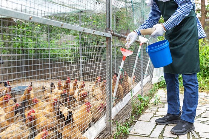 What are the future directions for the development of rural aquaculture?