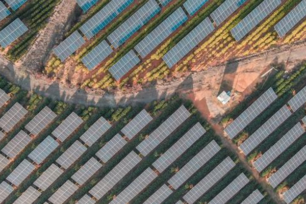 Photovoltaic is the trend of the future