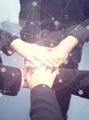 Sales Network