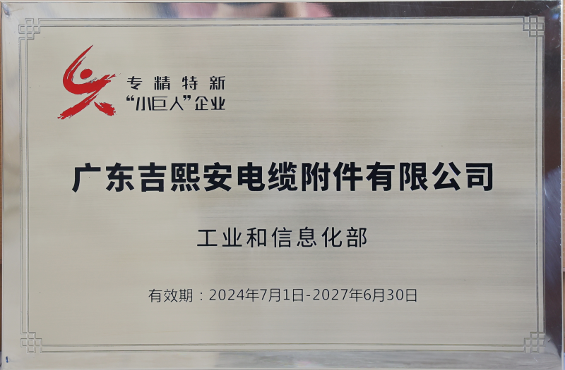 专精特新“小巨人”企业