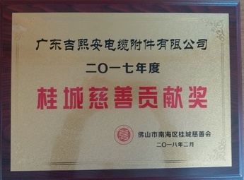 2017年度桂城慈善贡献奖