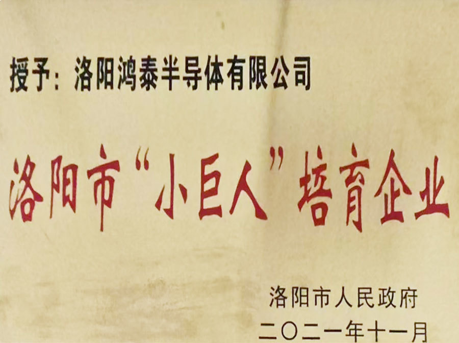 小巨人培育企业
