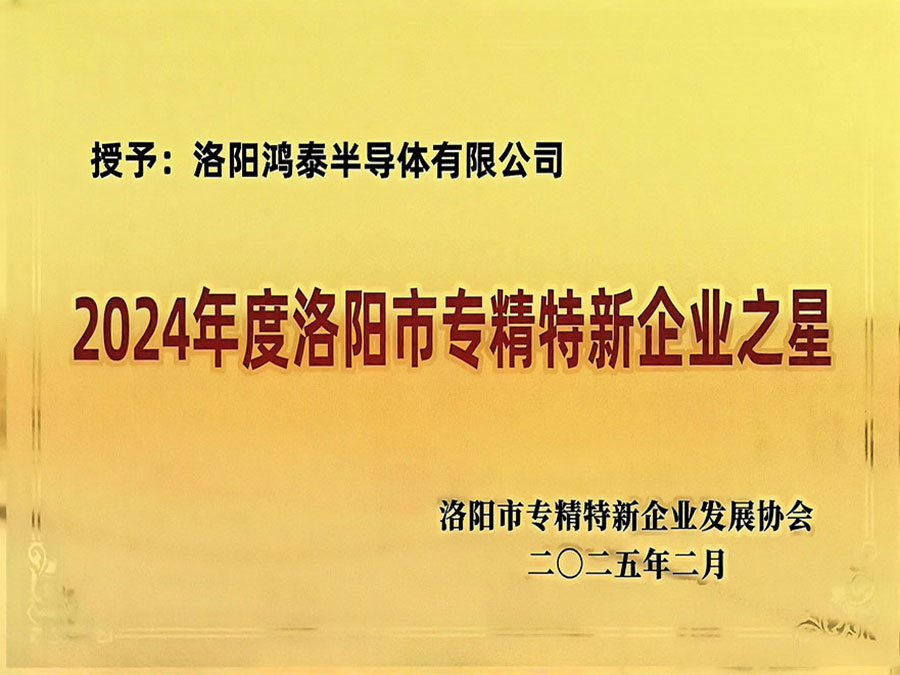 2024年度洛阳市专精特新企业之星