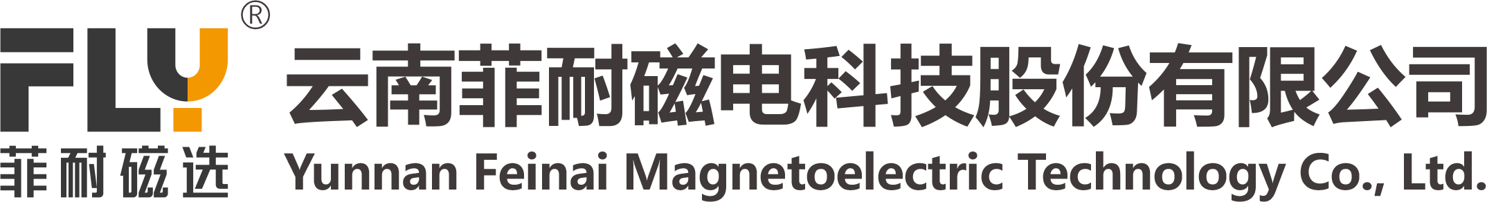 菲耐磁电