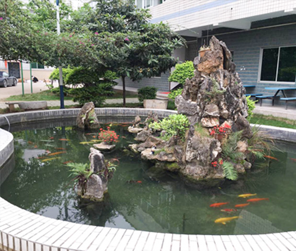 国沪风采