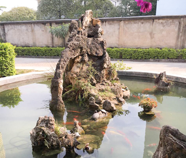 国沪风采