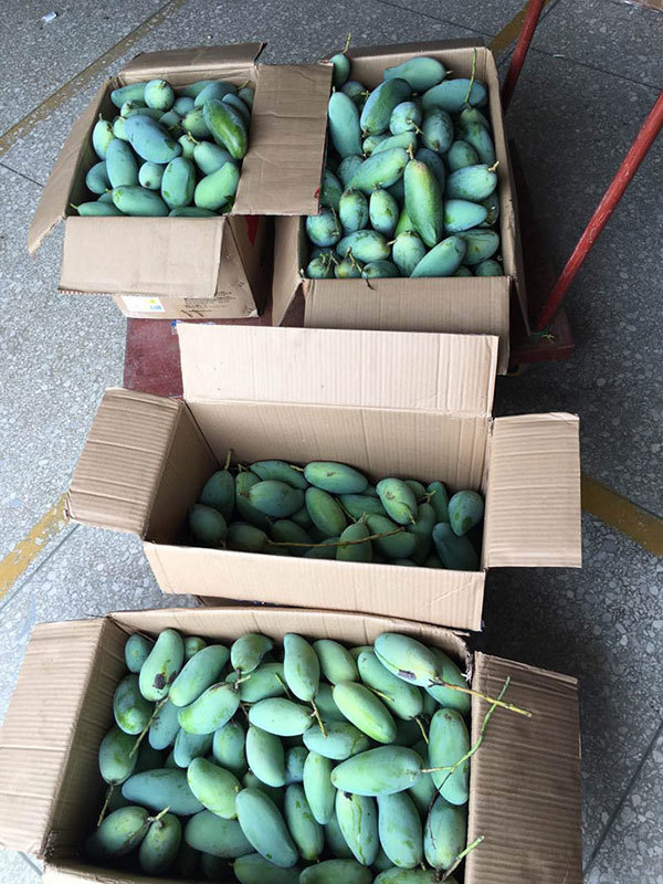 华克风采
