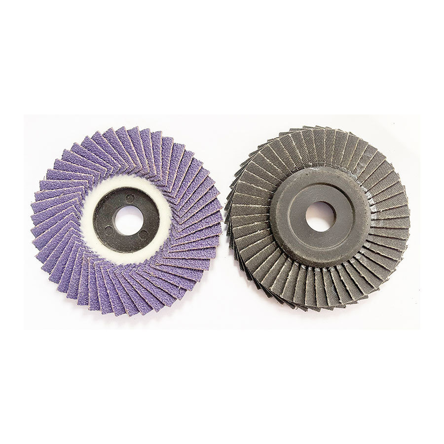 Flexible Disc in Korea Type