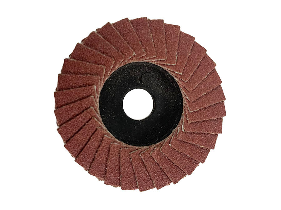 Mini flap disc