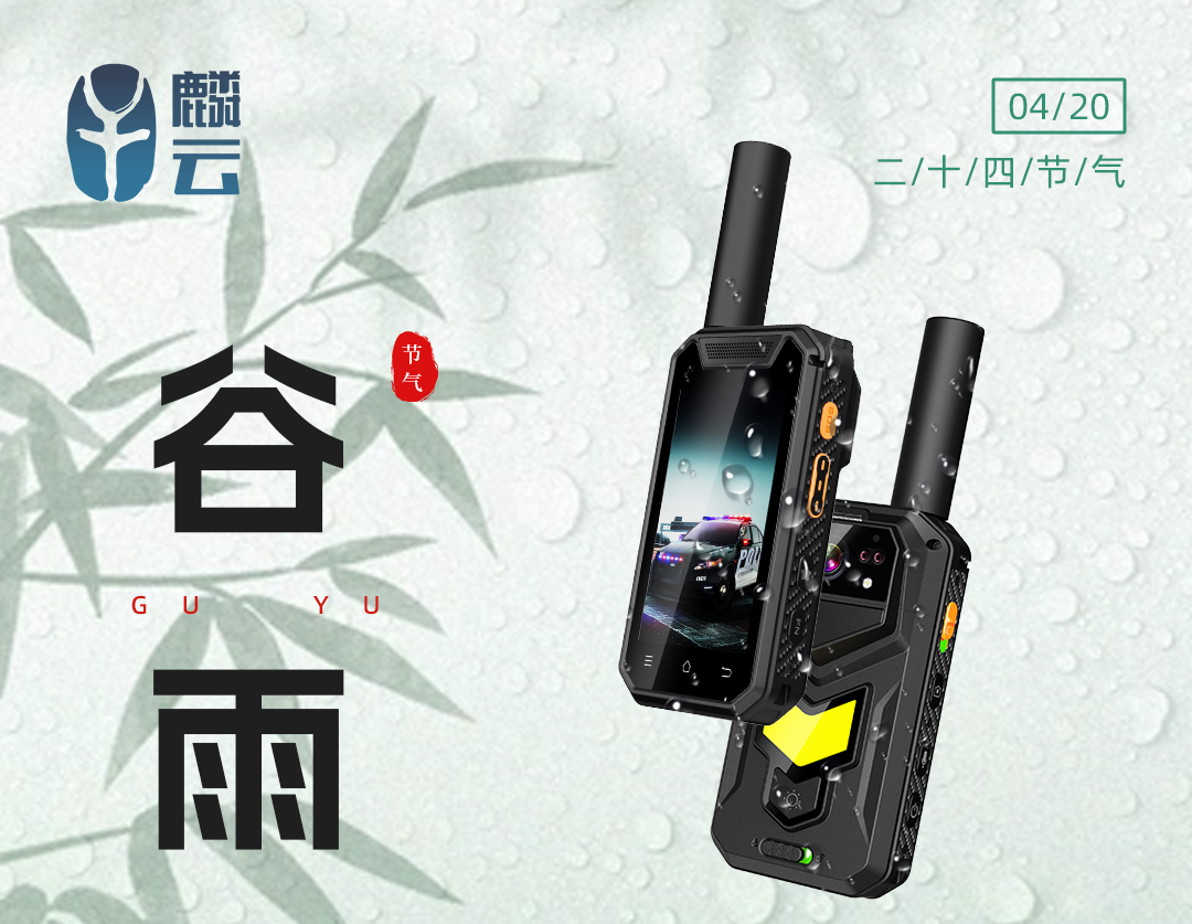 今日谷雨，春雨绵绵
