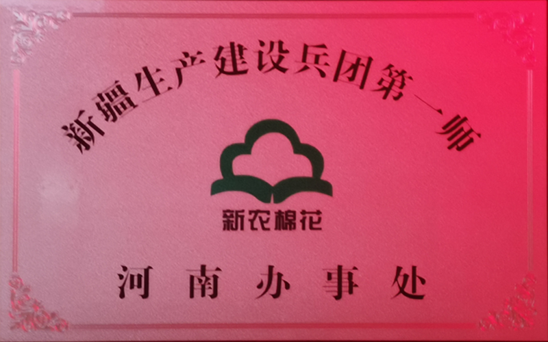 Xinjiang Production and Construction Corps First Division Henan Office