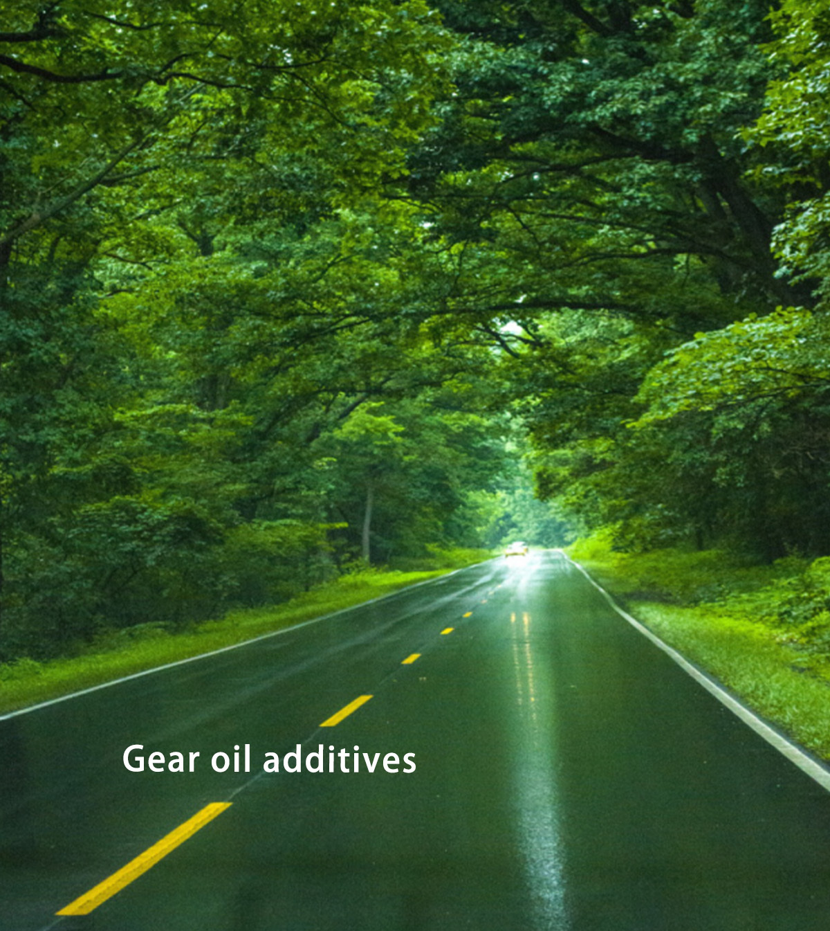  Transmission oils additive
