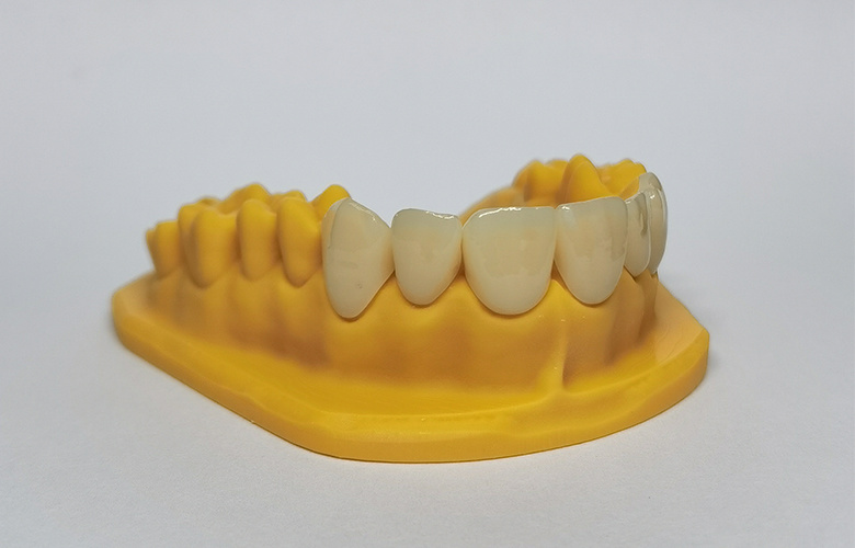 Focusing on dentistry