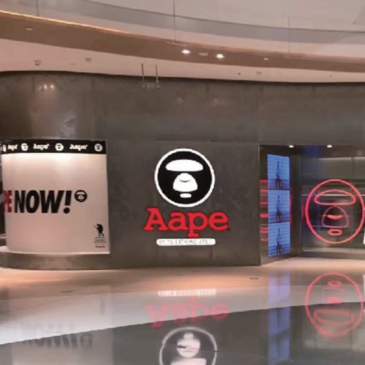Aape