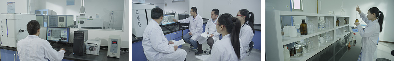  Research and Development Institution 