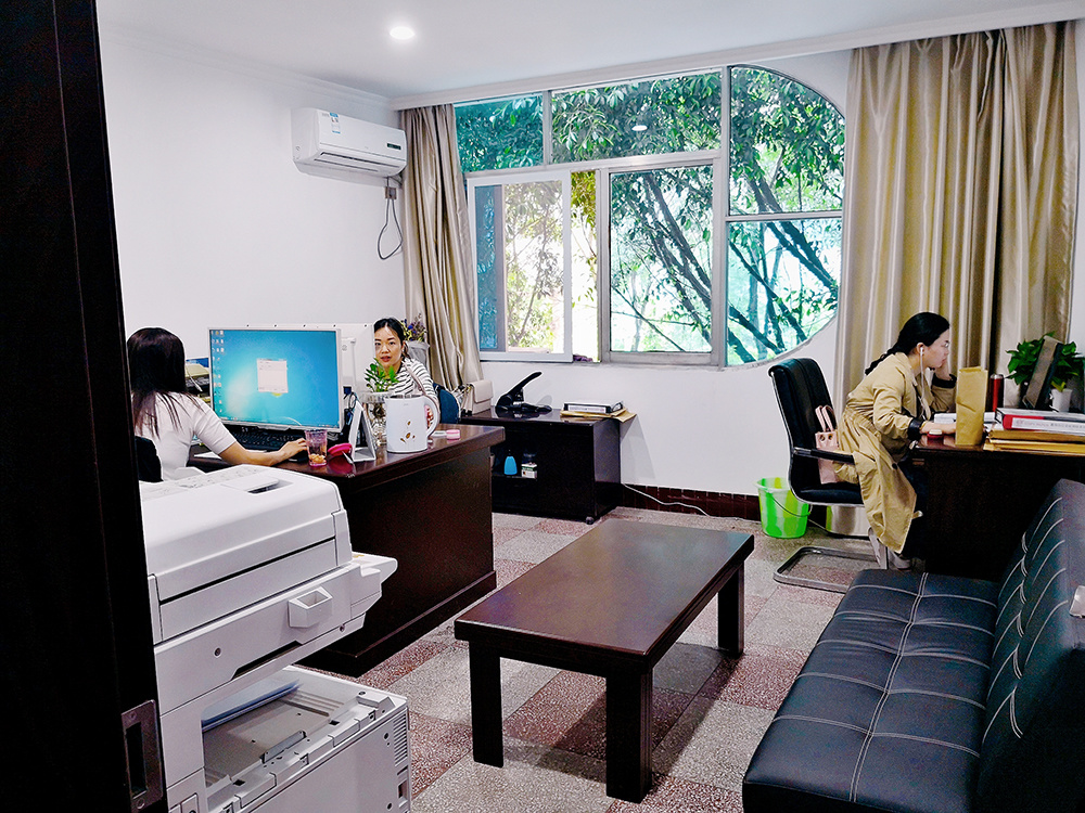 Corporate Environment 9