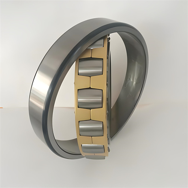 Single Row Spherical Roller Bearings