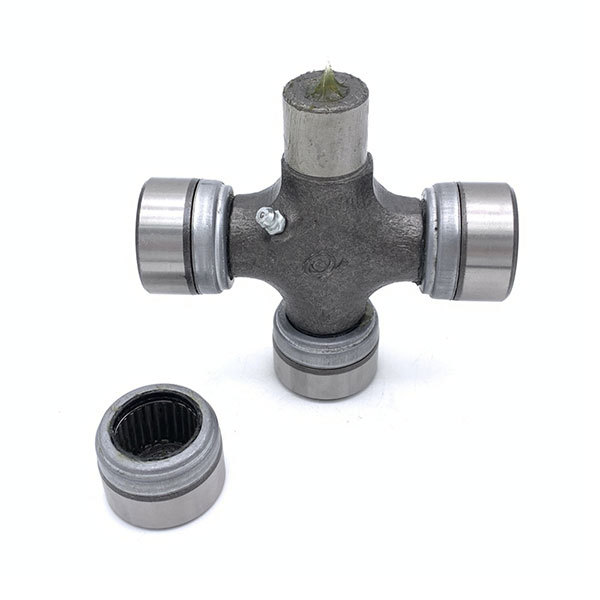 Oil Seal