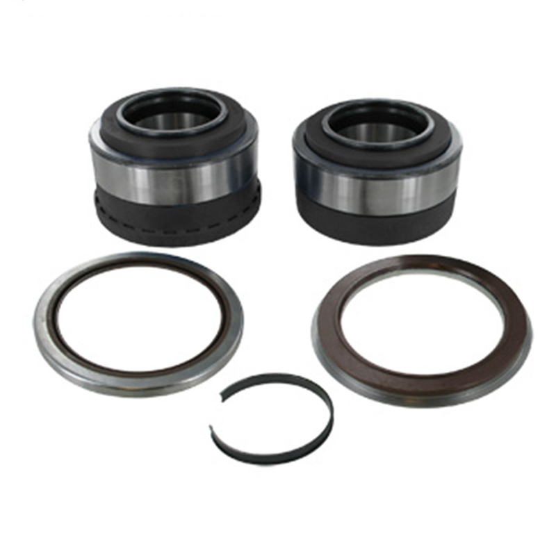 Durable Using Bearings Wheel Bearings  566283.H195/805008
