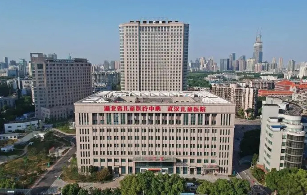 武漢市兒童醫(yī)院凈化工程維保服務(wù)項目