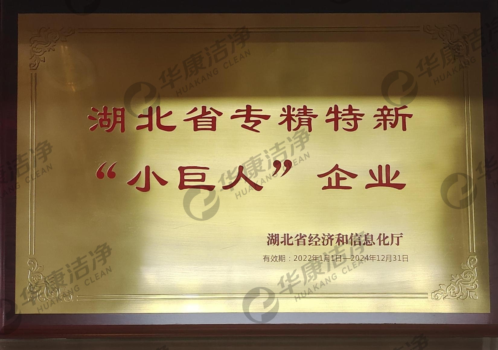 湖北省專(zhuān)精特新小巨人企業(yè)