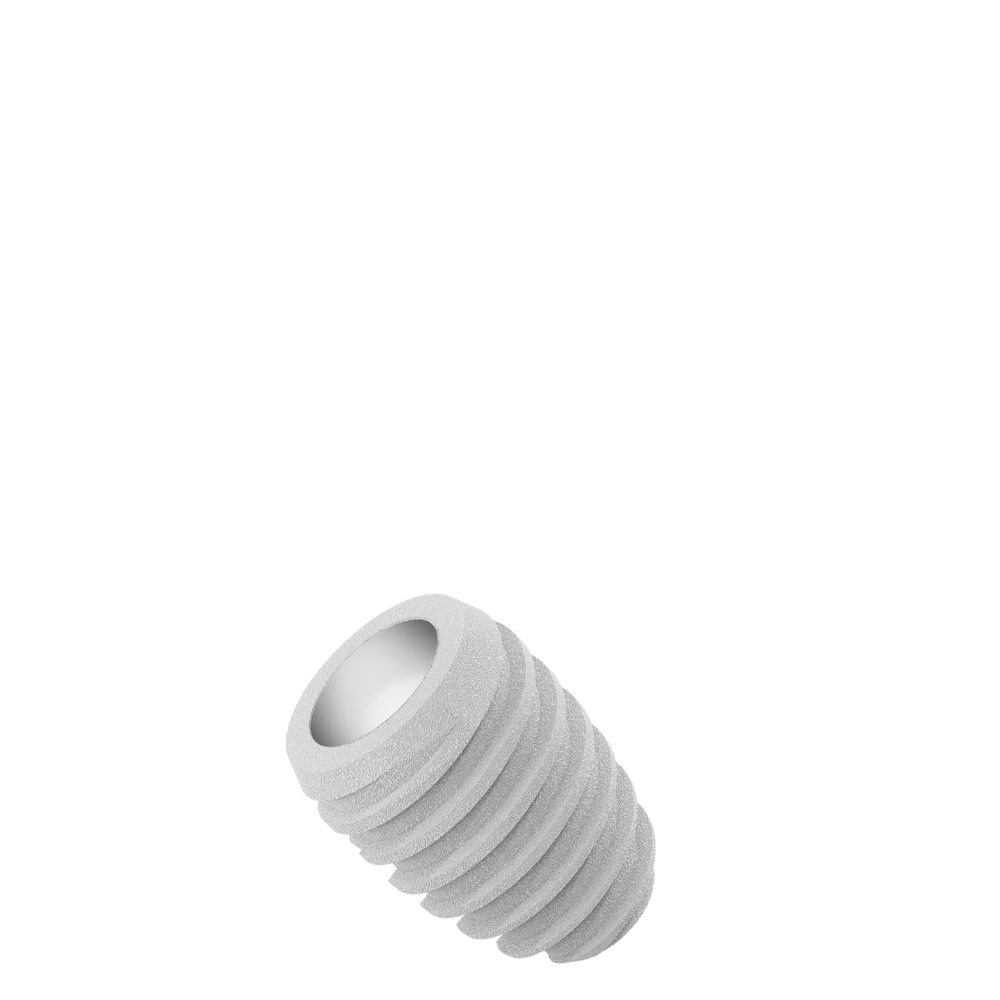 CS4306