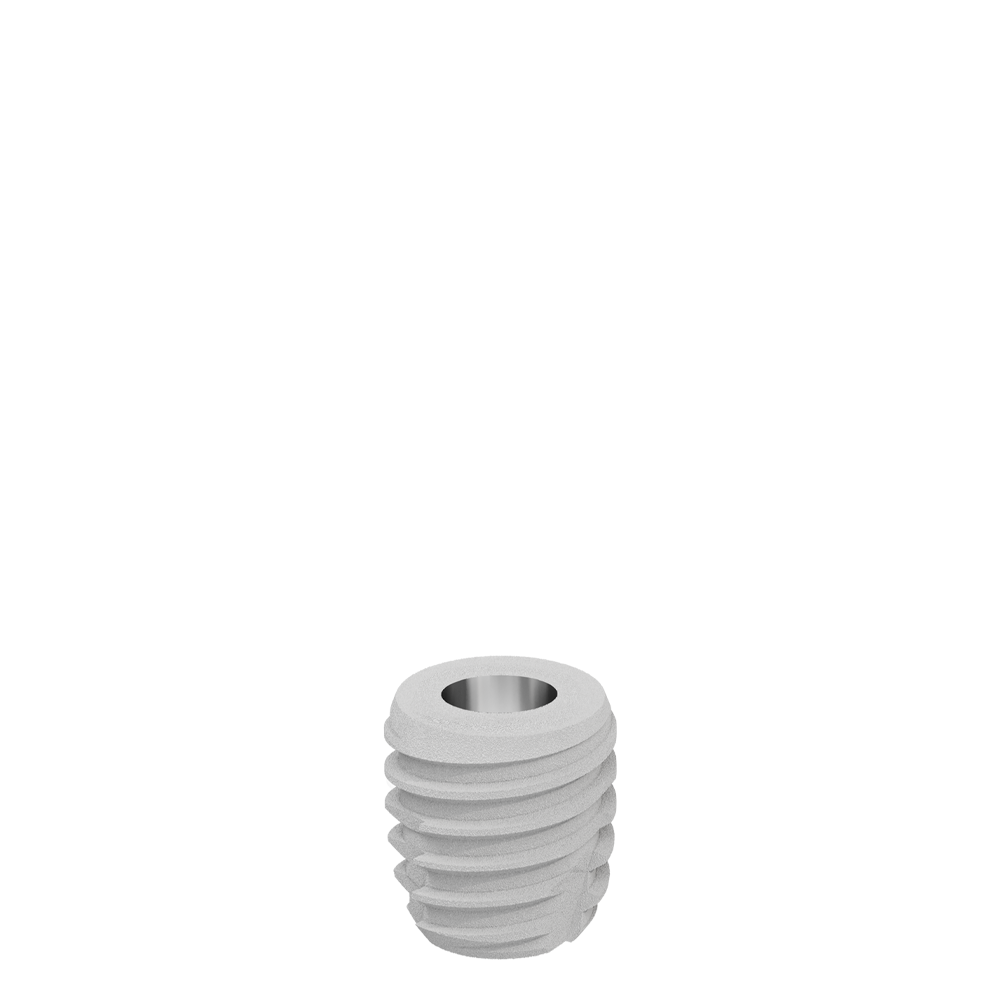 CS6005