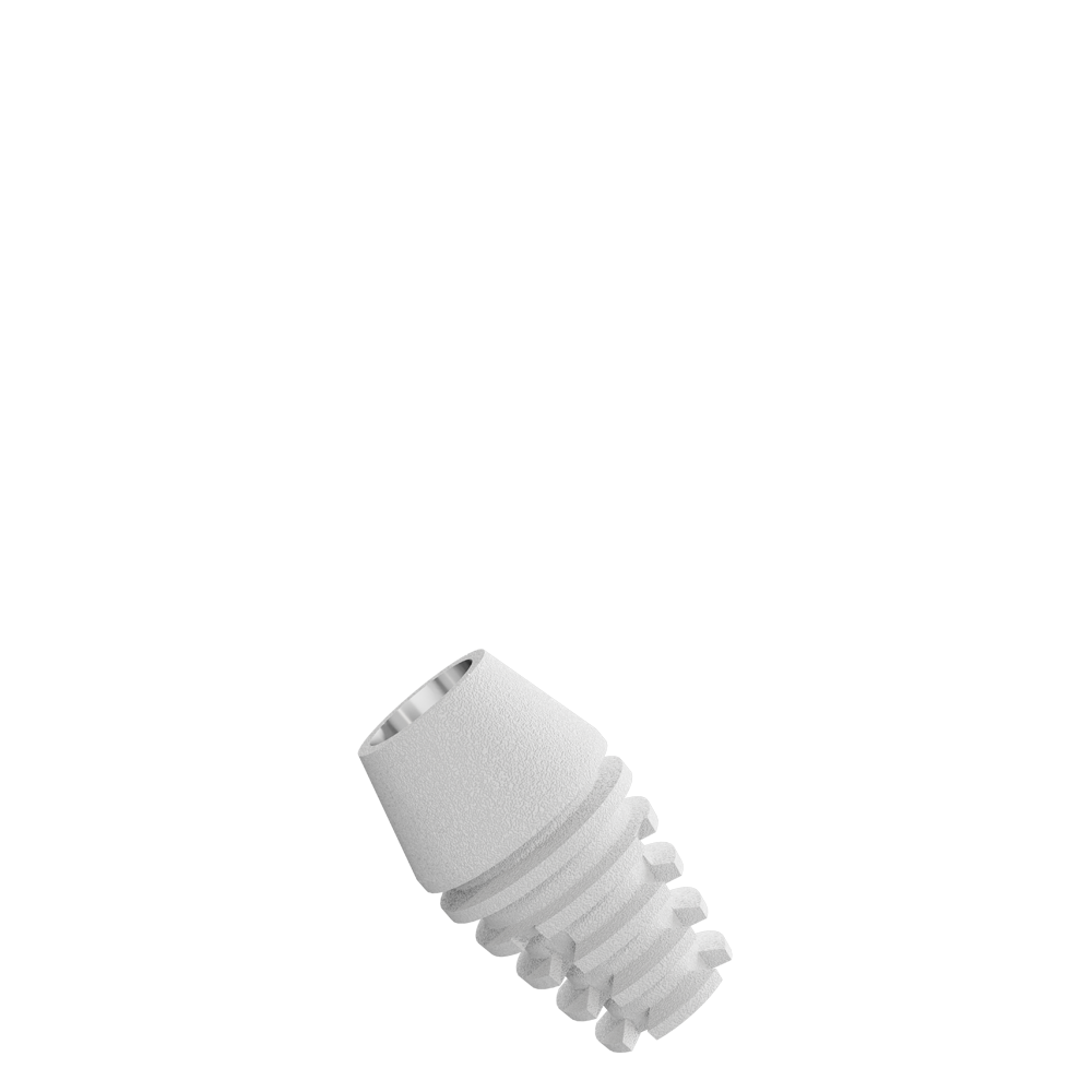DS3306