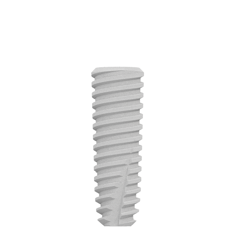 CS4011