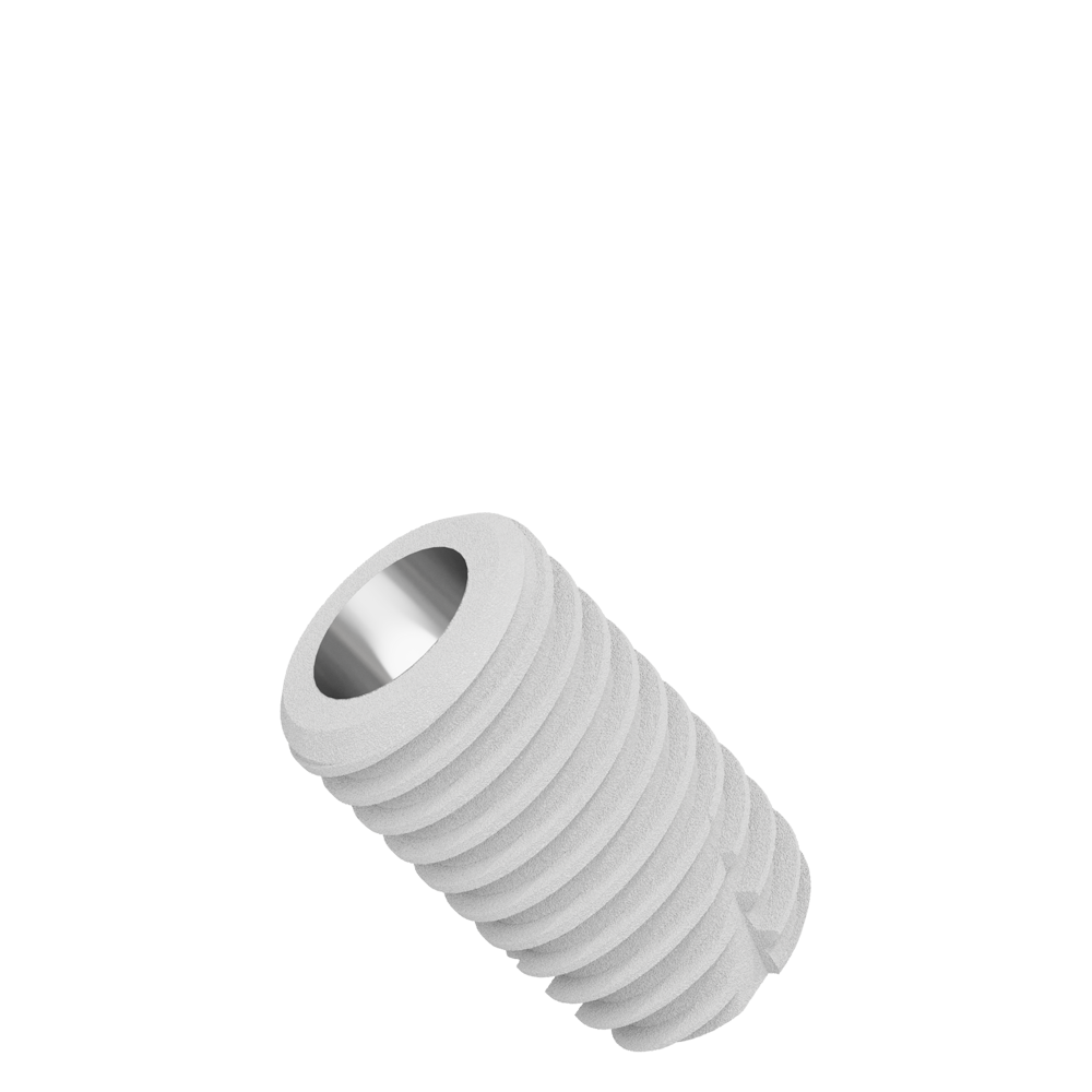 CS5008