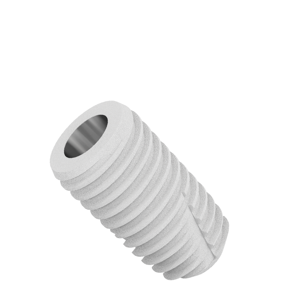CS5010