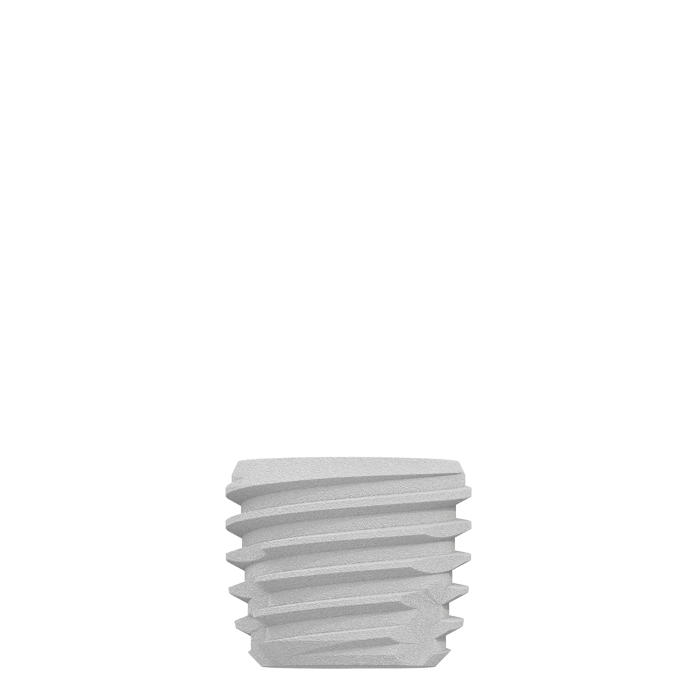 CS6005