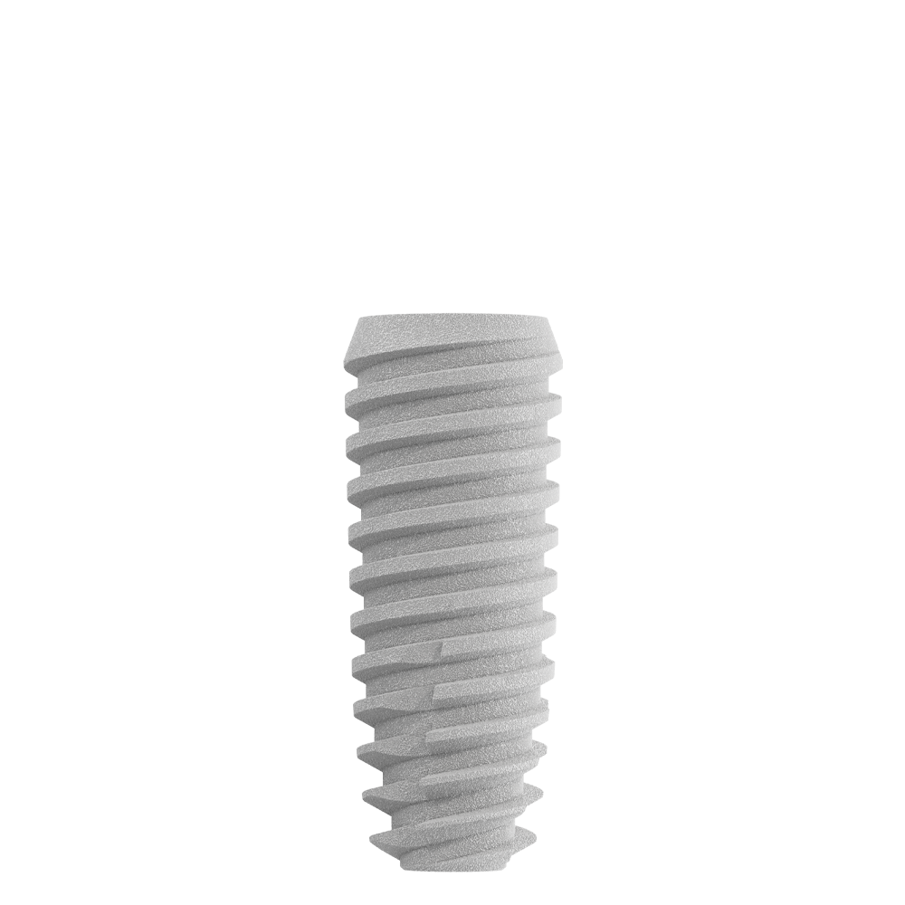 CS4010